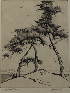 Image description is not available for DU1944.34